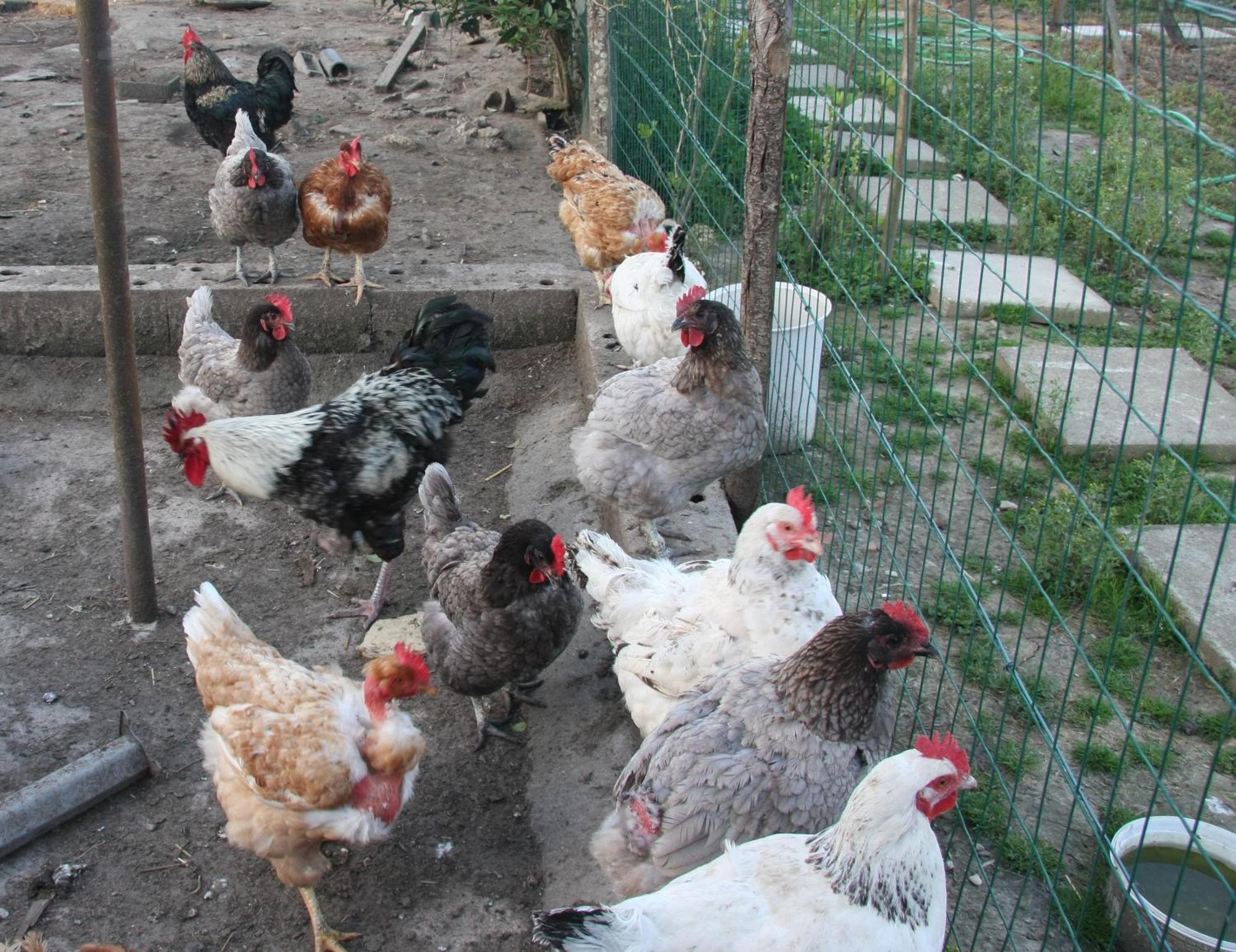 Gite Chez Mamie - 7 Personnes A Sainte Livrade Sur Lot ภายนอก รูปภาพ